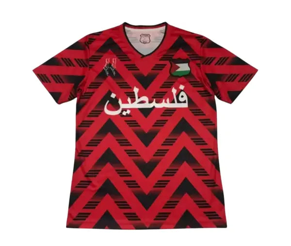 CAMISETA PALESTINA CONCEPTO 3